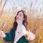 小罗代言米乐体育app手机app下载